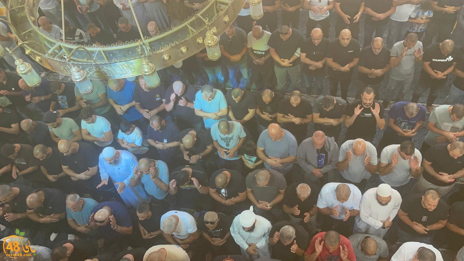 WhatsApp Image 2023-10-12 at 12.00.17 PM.jpeg